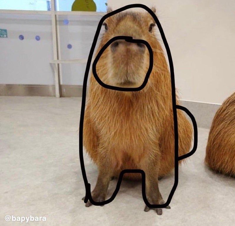 A capybara sitting and facing the camera directly. An Among Us crew member outline is drawn crudely around the capybara's silhouette.